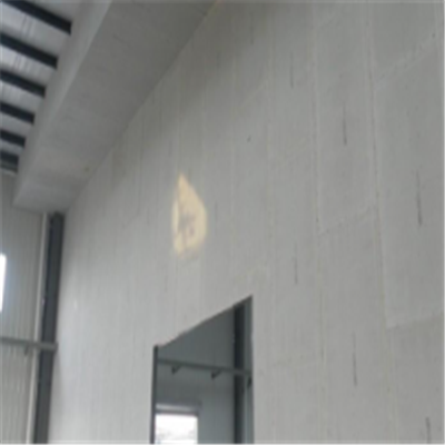 信丰宁波ALC板|EPS加气板隔墙与混凝土整浇联接的实验研讨